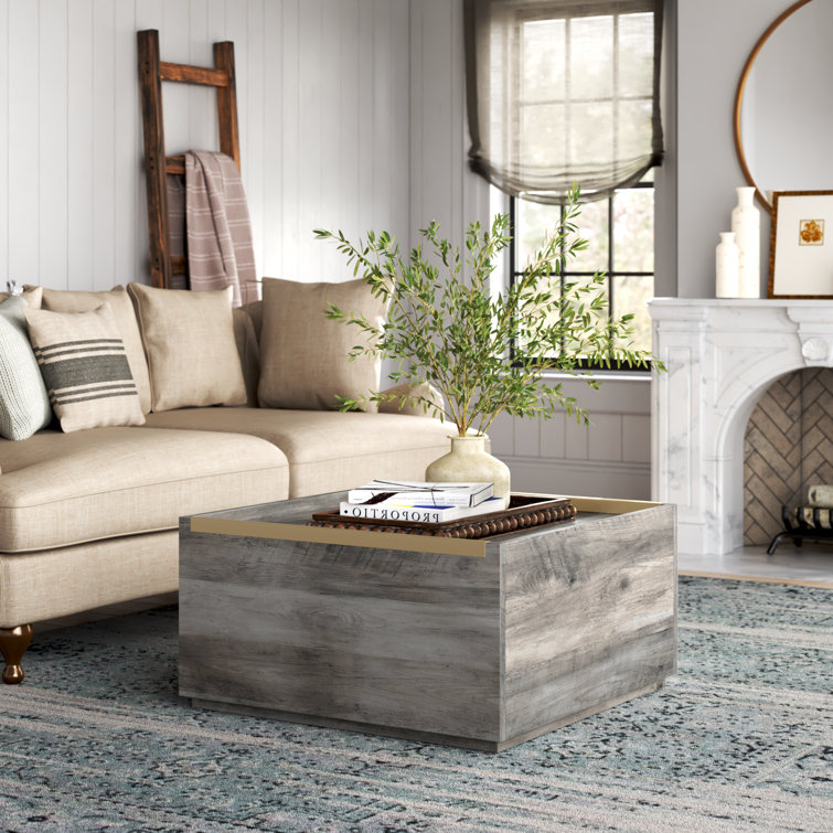 Laurel Foundry Modern Farmhouse Modica 31" Solid Square Coffee Table ...